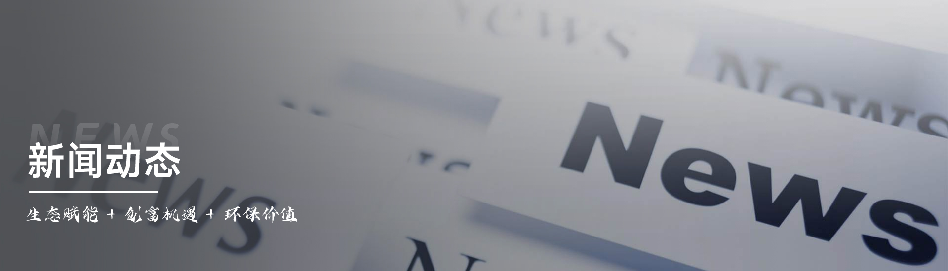 新闻动态